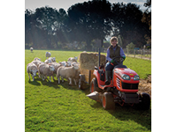 Featured Member: Jenni Riggall of Field Farm