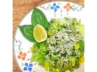 Fresh and Zesty Summer Salad