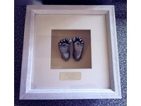 Featured Member: Freddie's Footprint