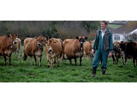 Taste the Passion - Dairy