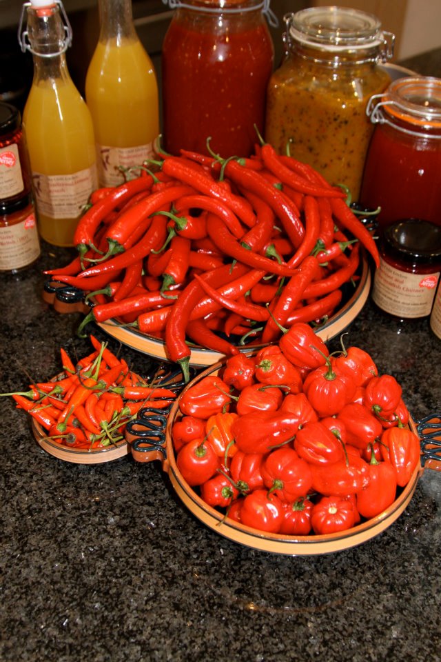 Featured Member: The Chilli Kitchen