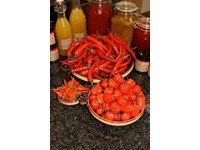 Featured Member: The Chilli Kitchen
