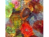 Featured Member: Helena Mundy