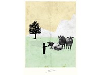 Featured Member: Sunshine Design