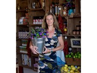 Featured Member: Forge Farm