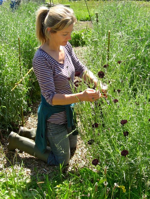 ForgeFarm_deadheading