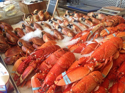 FreshFishCo_LocalLobsters