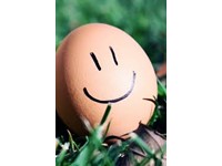 How do you like your eggs in the morning...