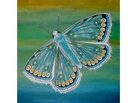 Featured Member: Susan Lintell