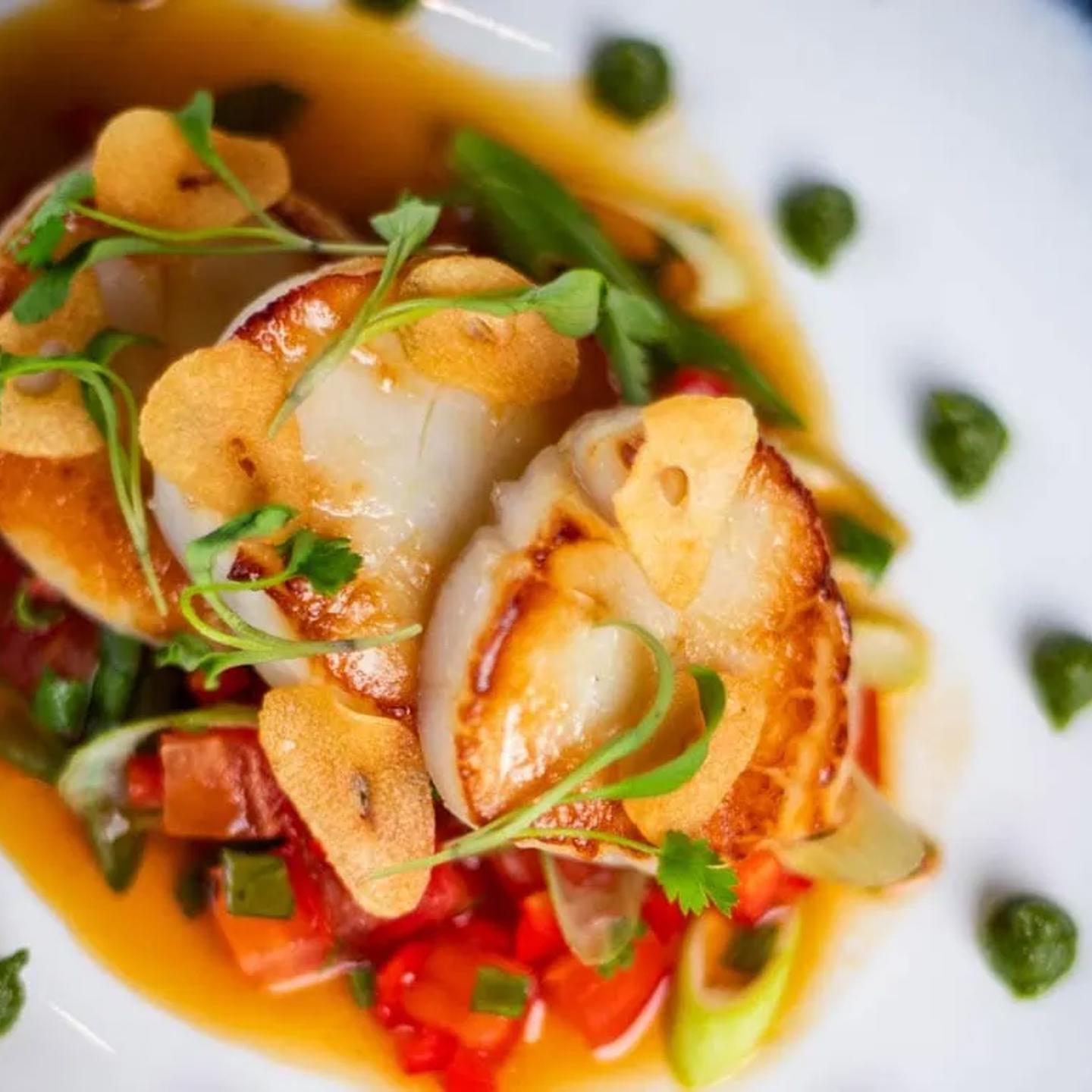 Seared Hand Dived Jersey Scallops