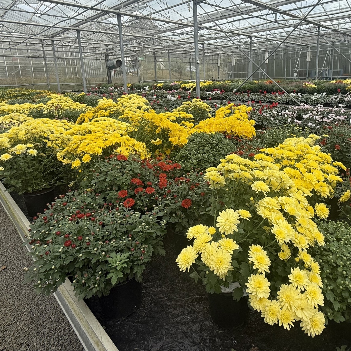 Nursery 2
