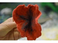 Genuine Jersey Poppies for Remembrance Sunday