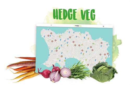 29256 Online Buy Local Campaign Website Graphics HEDGE VEG