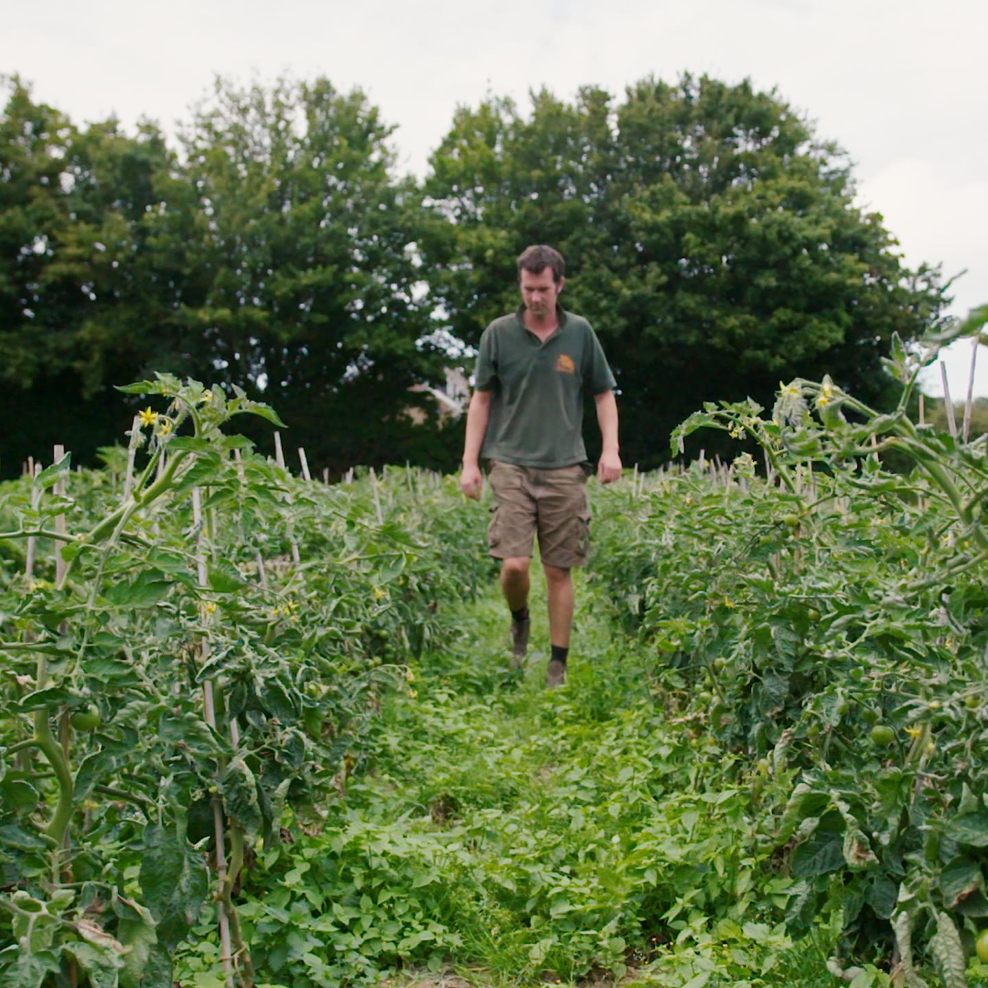 Phil Le Mastre. Master Farms.00 00 46 14.Still093