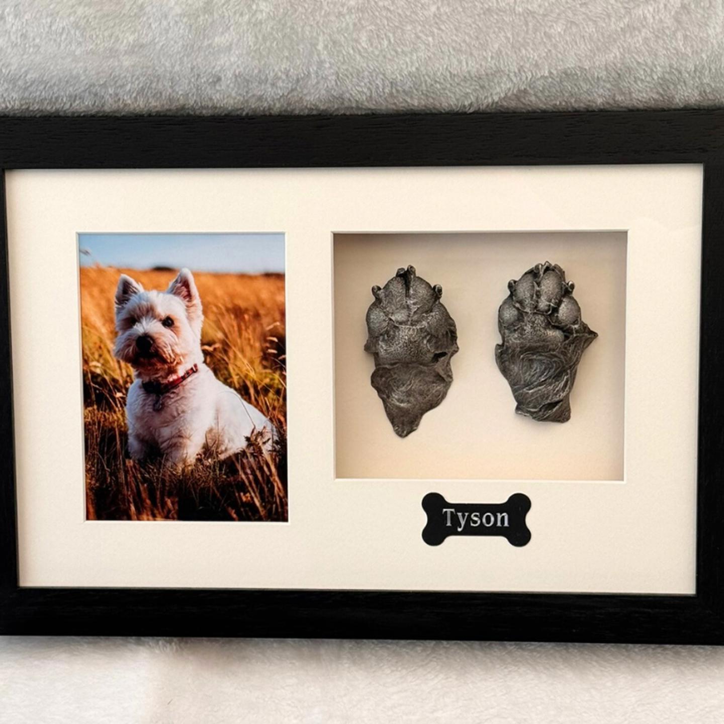 Tyson JSPCA Copy (1)