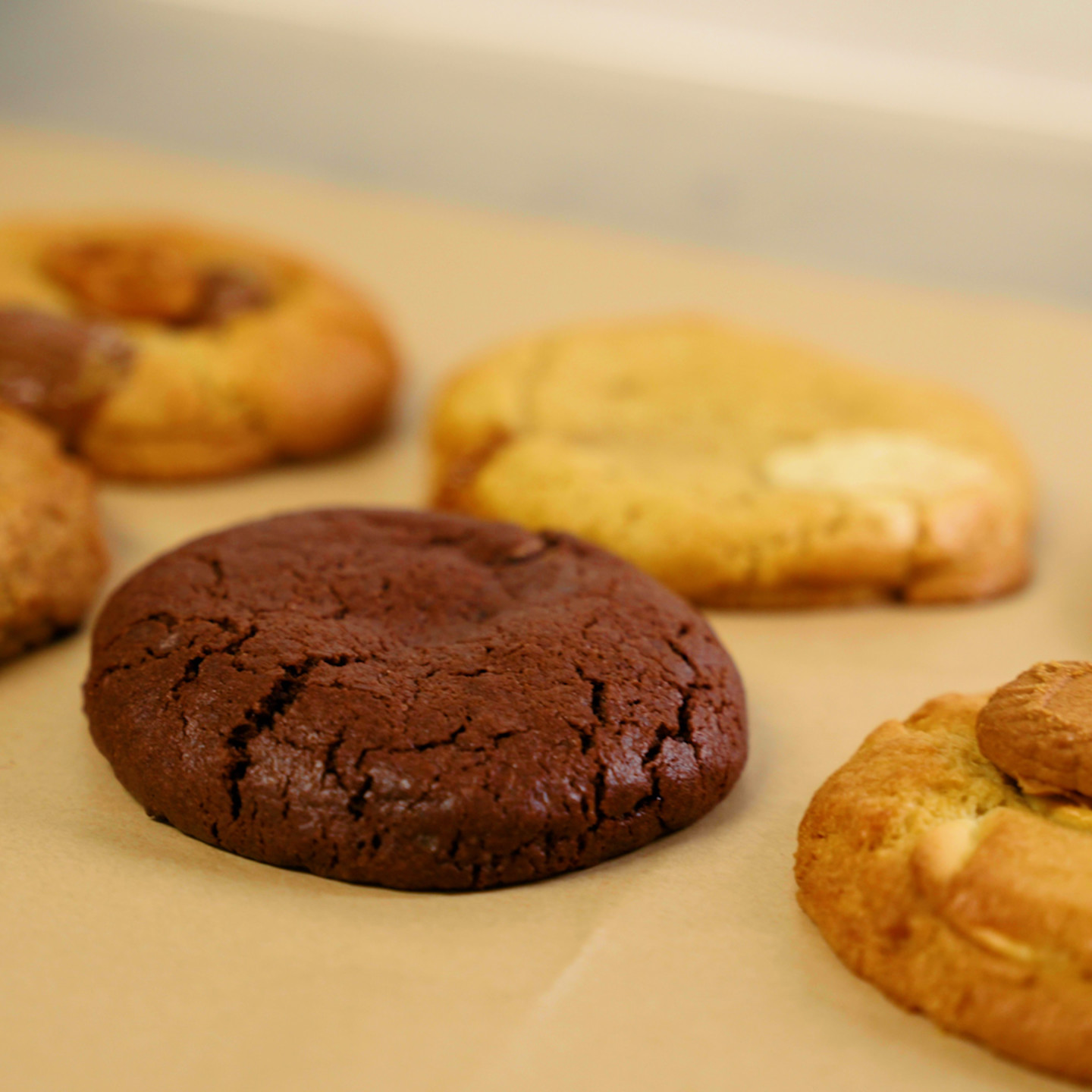 SSF 091024 GJ DOUGH 11 (1)