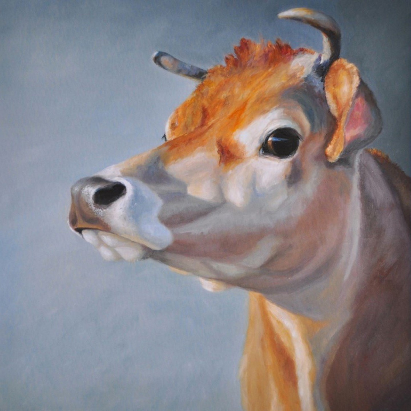 Rbcow