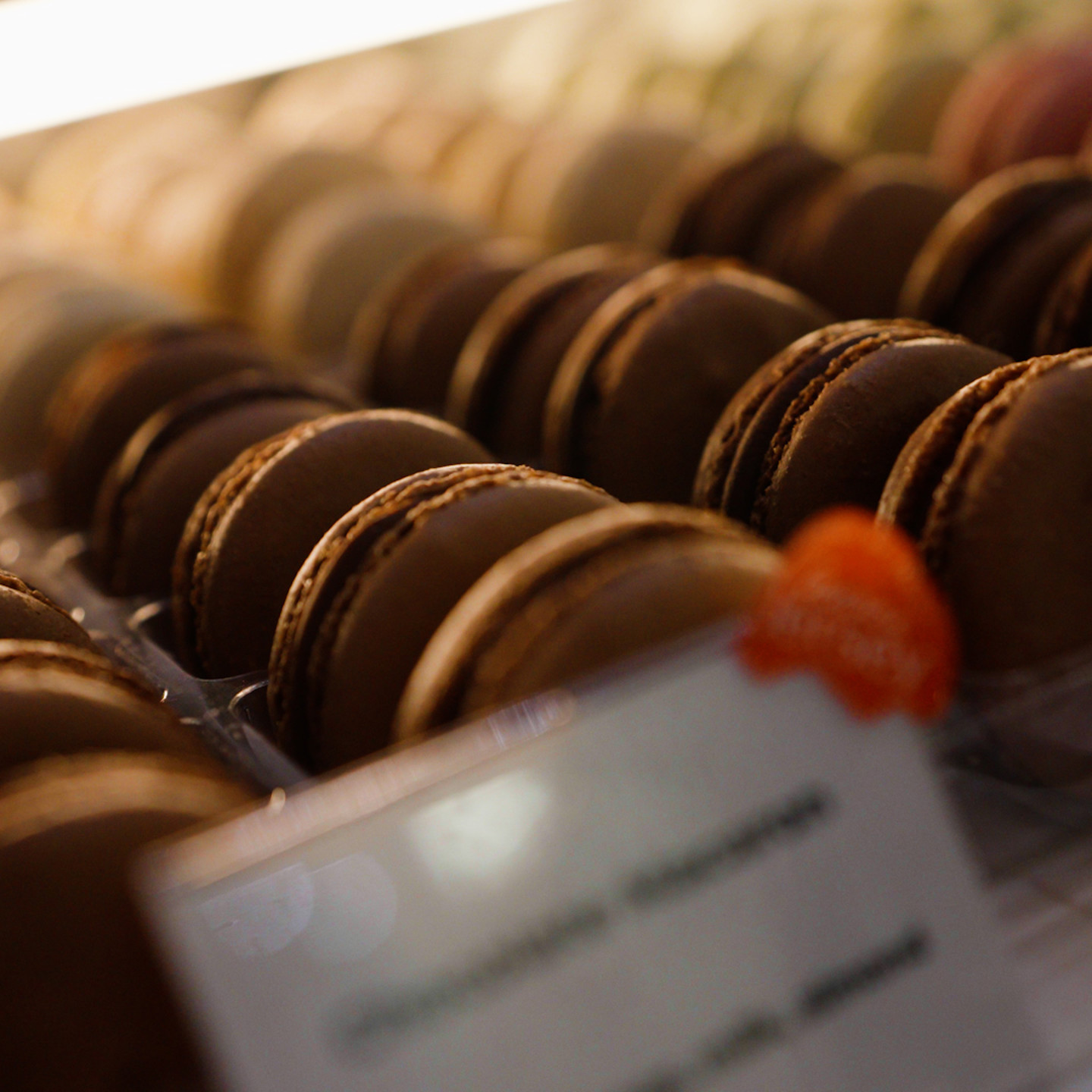 SSF GJ GANACHE STANDARD.00 00 52 03.Still078