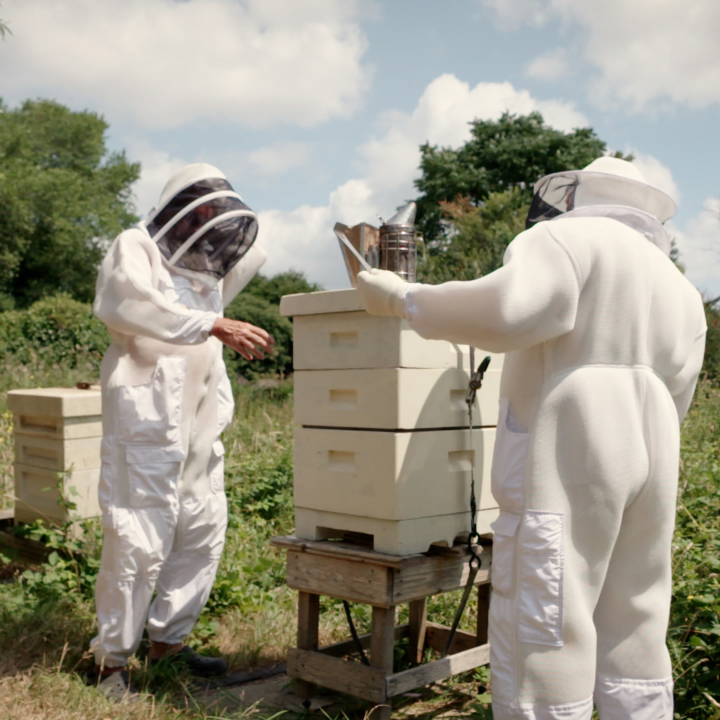 JERSEY BEES.00 01 46 10.Still076