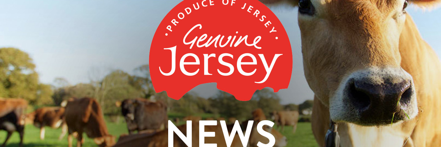 Genuine Jersey Landscape News V2