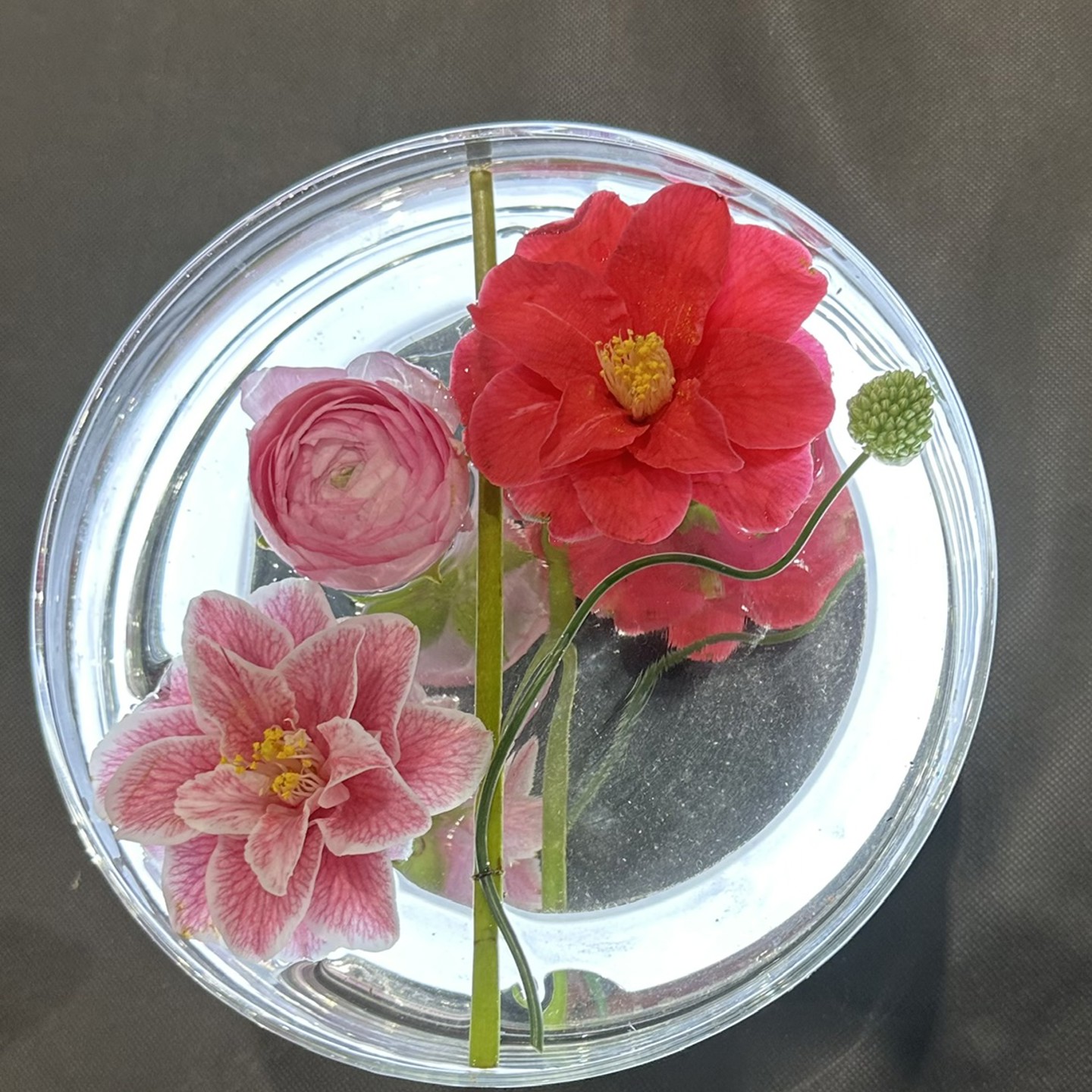 Jersey Camelia Floating Arrangement