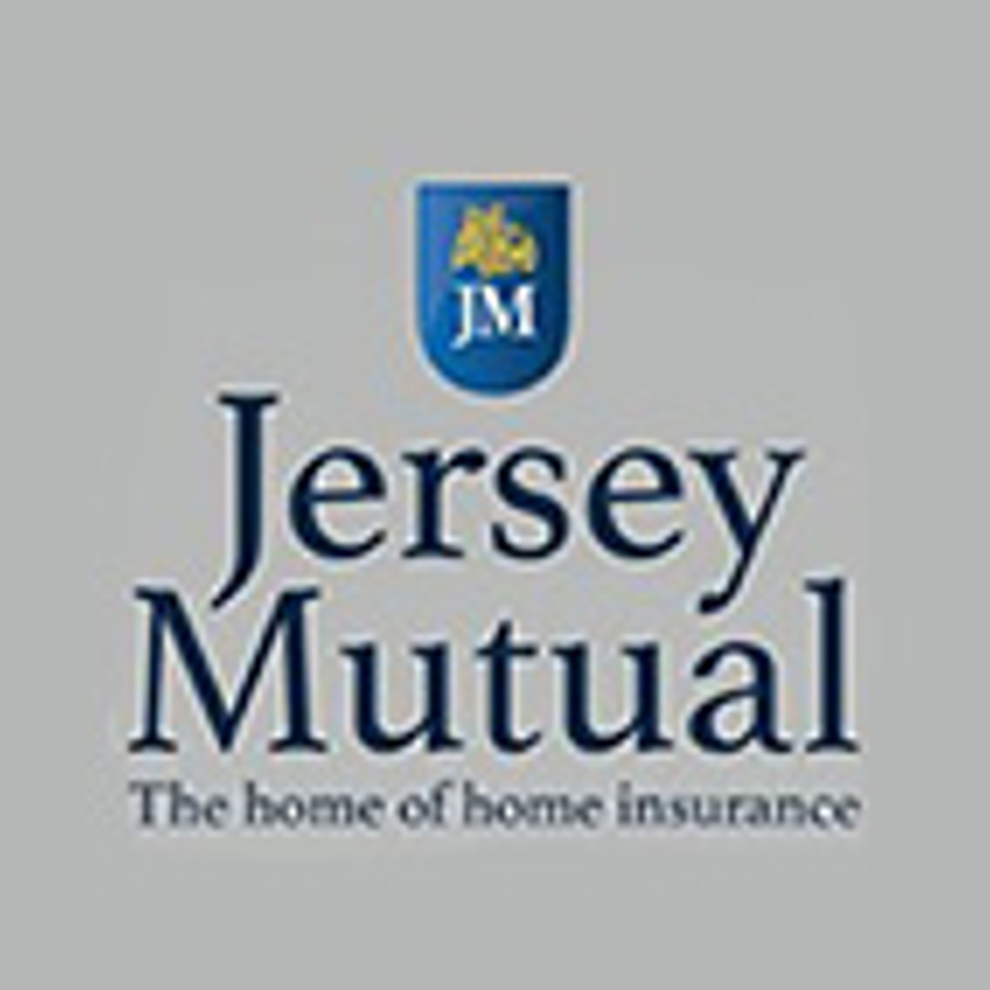Jmis Logo