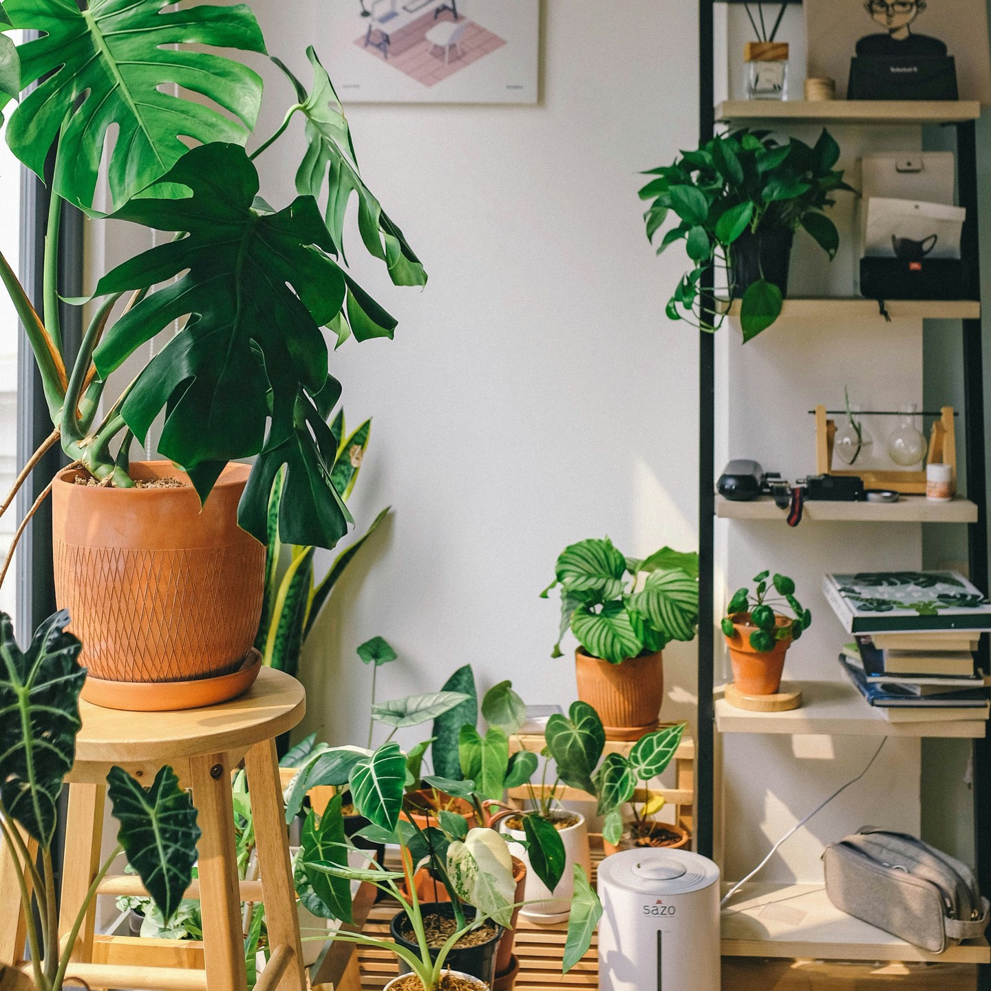 Huy Phan Dm317cbttyy Unsplash
