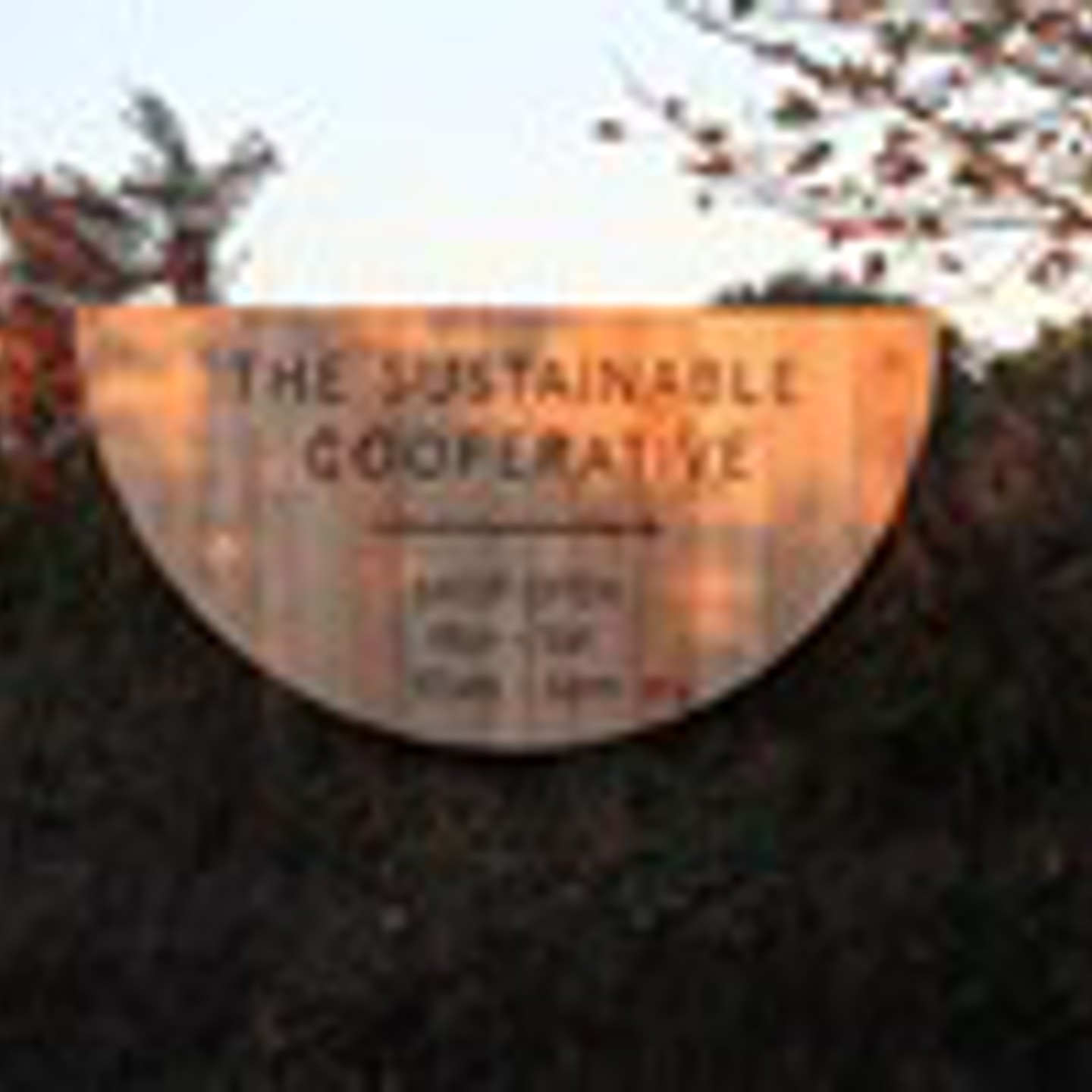 Scoop Logo