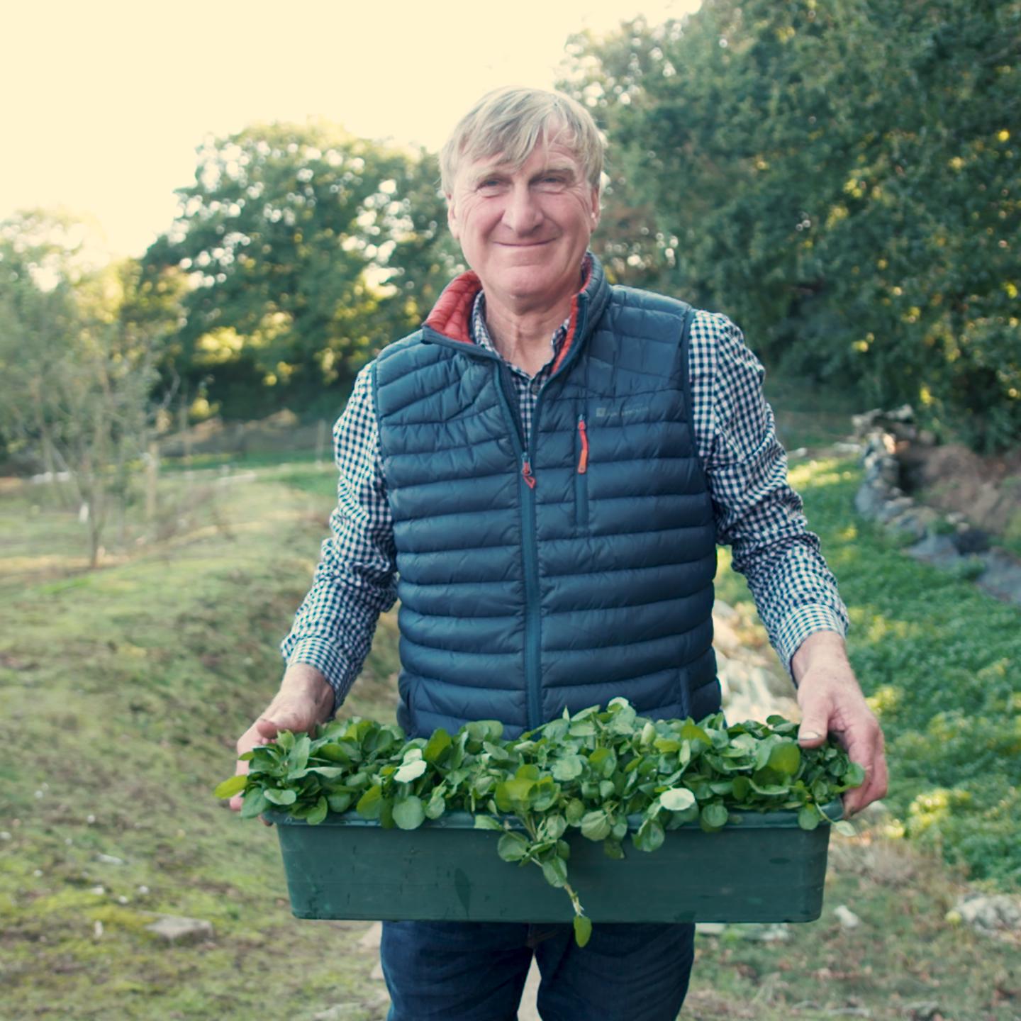 COLIN ROCHE WATERCRESS .00 00 07 22.Still160 (6)